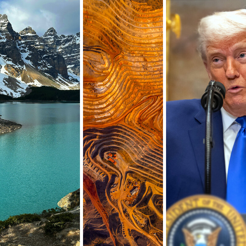 Trump Gold Rush