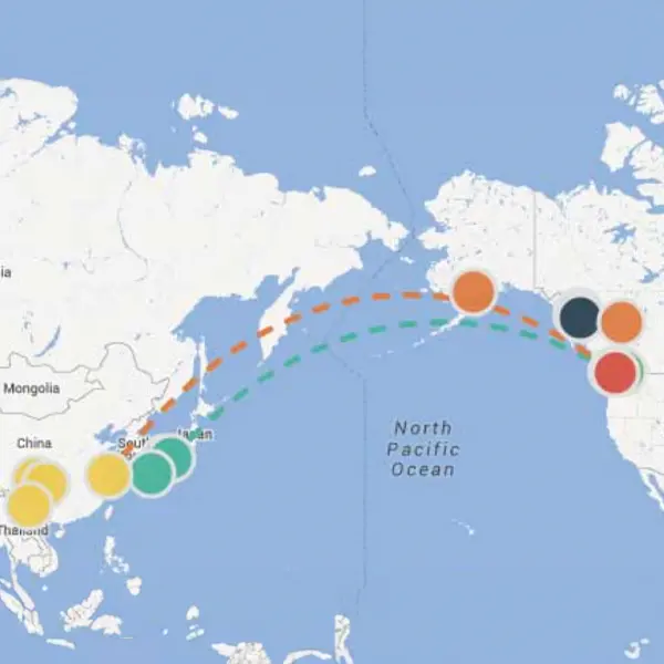 Travels With Copper: A Cradle to Grave Investigation